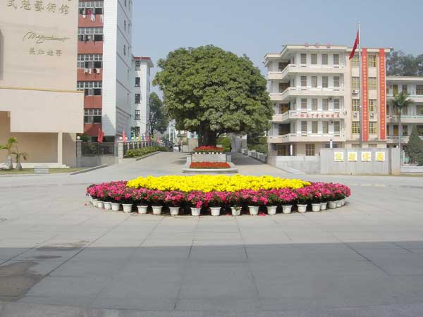 校本部南大门前鲜花